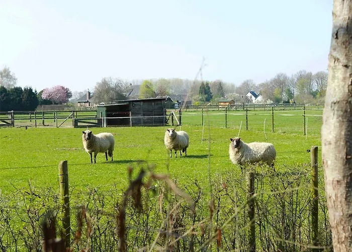 Buitengoed De Panoven 3*